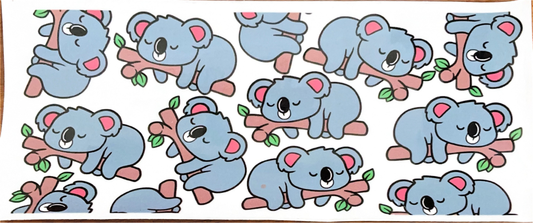 koala