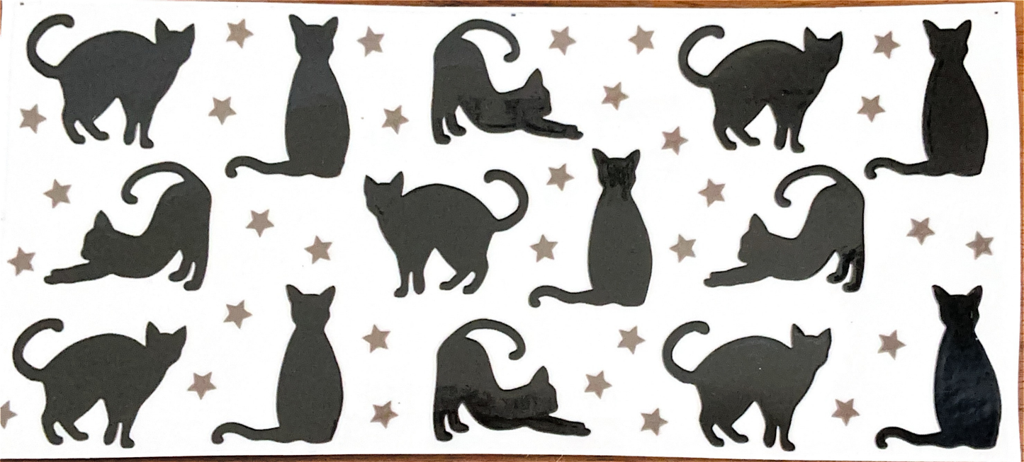 black-cat