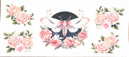 baby-pink-moth