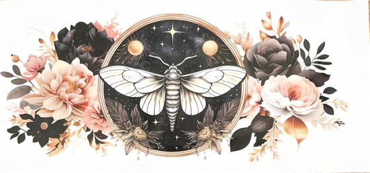 beige-moth