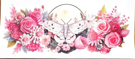 rose-red-moth