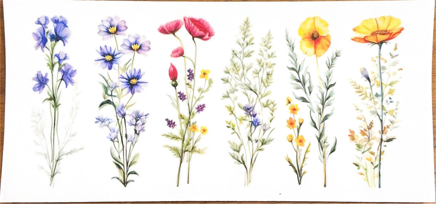 anemone-wild-flowers